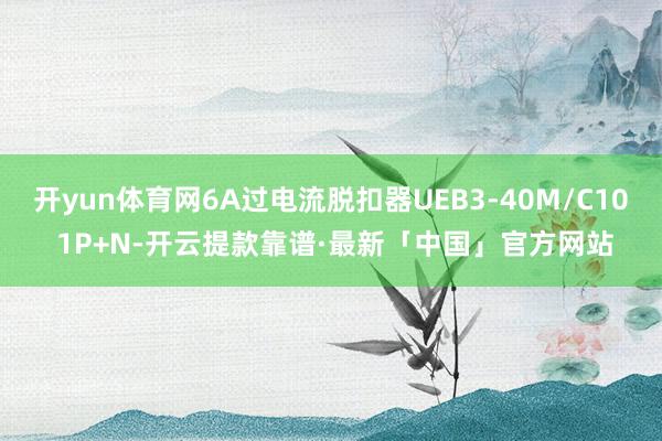 开yun体育网6A过电流脱扣器UEB3-40M/C10 1P+N-开云提款靠谱·最新「中国」官方网站